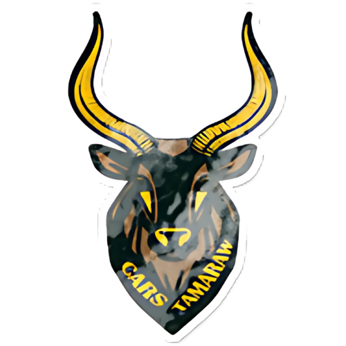 Team Image